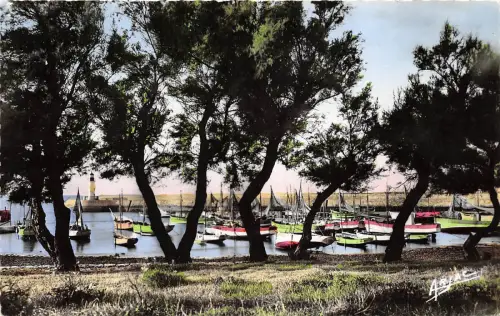 BR28416 Ile Doleron Leport Frankreich