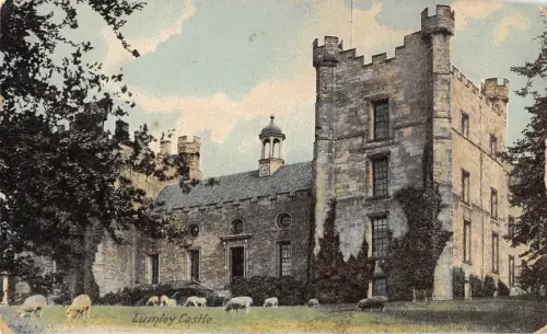 BR80689 Lumley Castle Sheep Mouton UK