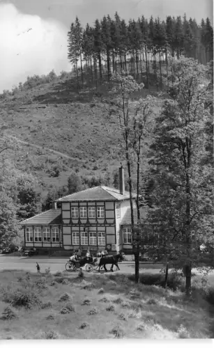 BG23539 Finsterbergen Thur Waldschwein Steigermuhle Germany CPSM 14x9cm