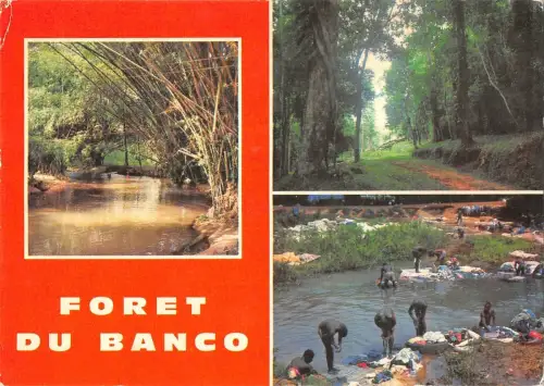 BT2362 Cote d Ivoire Foret de Banco Elfenbeinküste