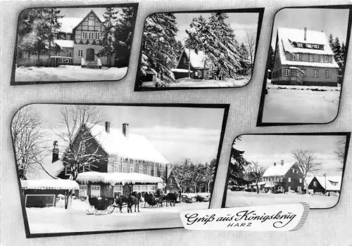 BG2136 gruss aus konigskrug bei braunlage harz CPSM 14x9,5cm germany