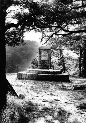 BG2374 alexisbad harz CPSM 14x9,5cm germany