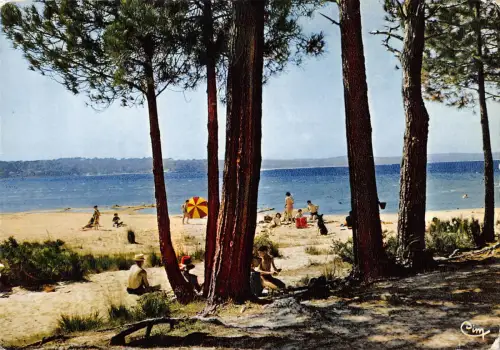 BR51610 Les lacs de la cote d argent trouee dans les pins Frankreich