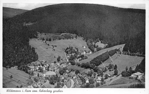 BG28685 wildemann i harz vom hohenberg geschen germany CPSM 14x9cm