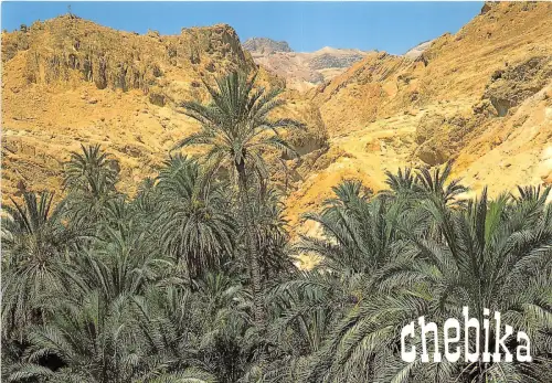 BR25491 Chebika un coin de Paradis 2 Scans Tunesien