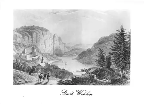 BG16299 stadt wehlen germany CPSM 14,5x9cm