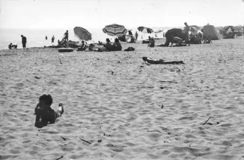 BR47851 Farinetie plage pres vias la plage Frankreich