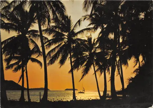 BR9382 Romantischer Schatten Guadeloupe Karibik