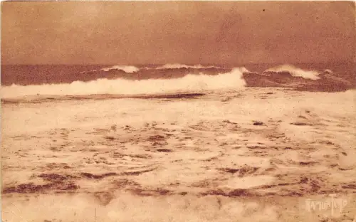 BR17119 la COte Sauvage Frankreich Landschaft Frankreich