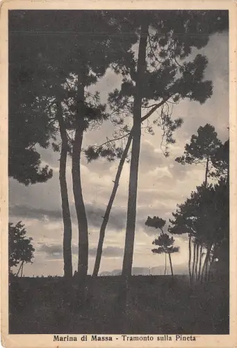 B6330 Italien Marina di Massa Tramonto sulla Pineta