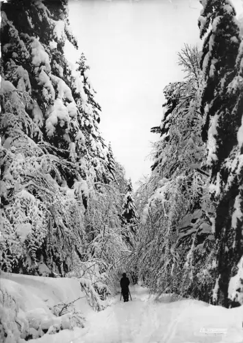 BR20296 Saus bois enneige france Frankreich