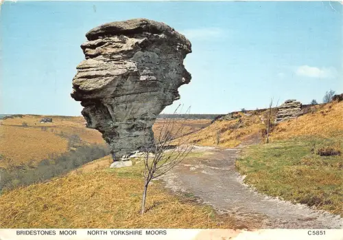 uk46309 bridestone moor north yorkshire moors uk