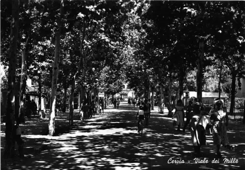BG3256 cervia viale dei mille CPSM 15x9,5cm italy