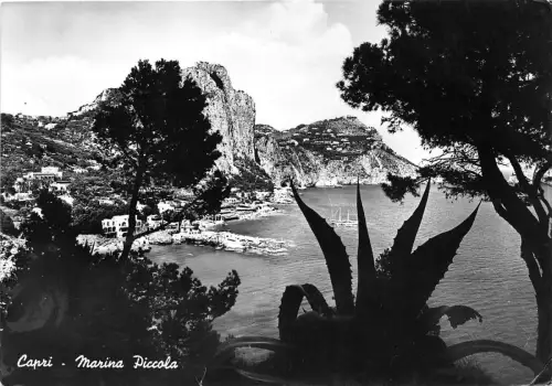 BG3181 capri marina piccola CPSM 15x9,5cm italy