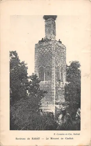 BF8852 rabat ke minaret de chellah morocco Marokko