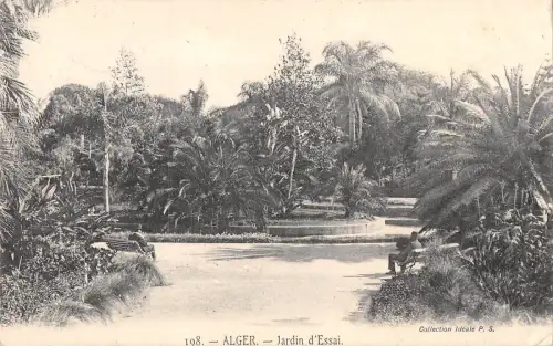 BR45535 Alger jardin d essai algeria