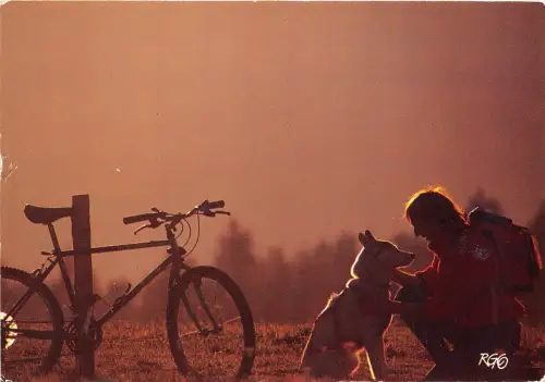 BF38448 deux amis dog sports dete cyclisme Radsport Sportif Sports