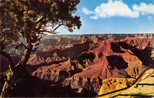 BR49869 Grand Canyon Nationalpark Arizona Arizona