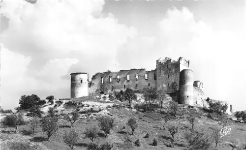 BR38033 Greoux les bains le chateau des templiers france