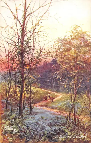 uk27335 sunset devon uk