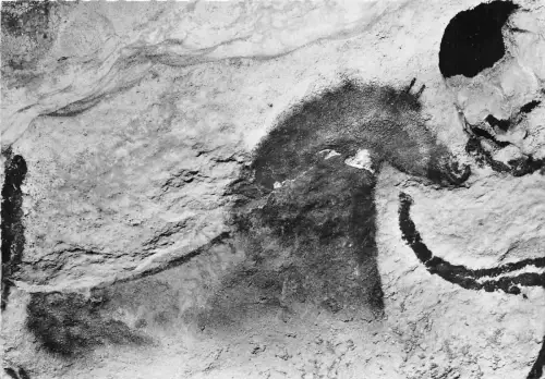 BF40732 cheval montignac sur vezere lascaux peinture rupestre Höhlenmalerei