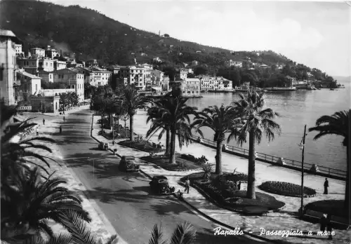 BG31043 rapallo passeggiata italy CPSM 14,5x10cm