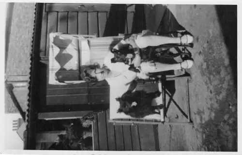 uk41483 social history real photo uk dog