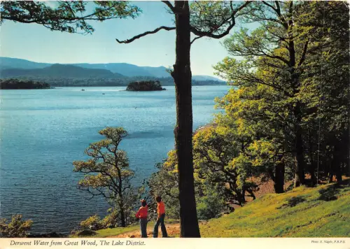 uk45672 derwent water from great wood lake district uk