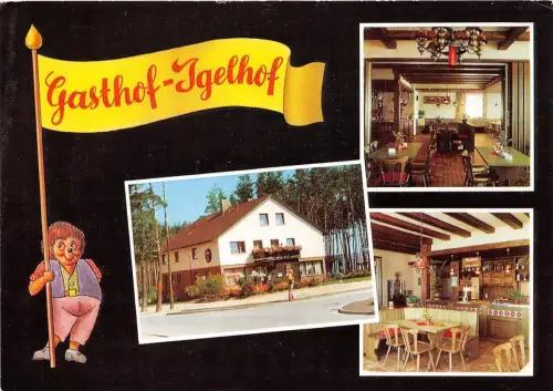 BG1144 Gasthof Hotel Igelhof Hans Seibold Igelsdorf CPSM 14x9,5cm Germany