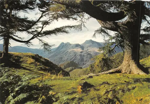 uk45817 langdale pikes from lingmoor fell cumbria uk