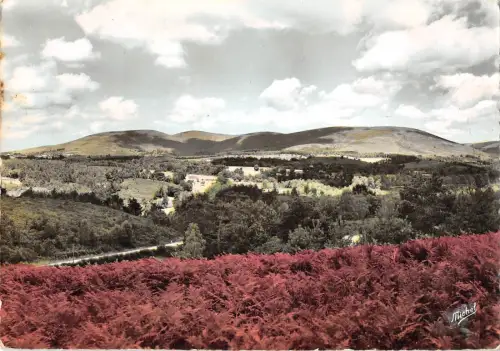 BR47539 monrs de monedieres vieilles pierres Frankreich