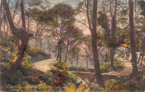 uk25962 hobby drive clovelly uk