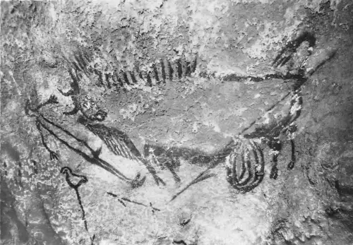 BF40735 bison blese montignac sur vezere lascaux peinture rupestre Höhlenmalerei