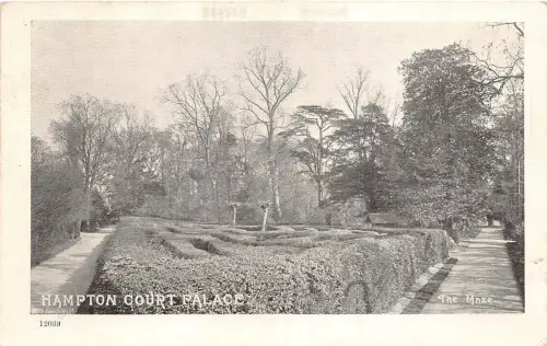 BR58157 the maze hampton court palace uk