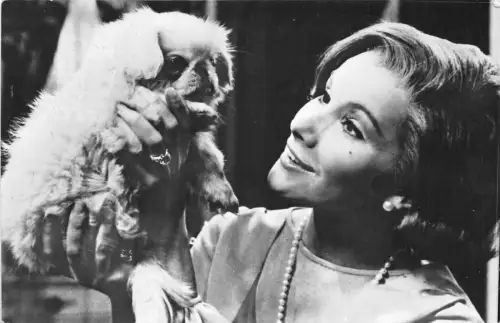 B27194 Susan Hampshire et chien Hund Filmstar