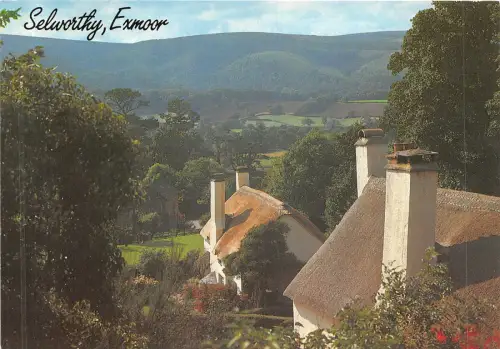 uk50602 selworthy exmoor uk