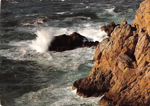 BR48591 La mer crisants sur les rochers frankreich Frankreich