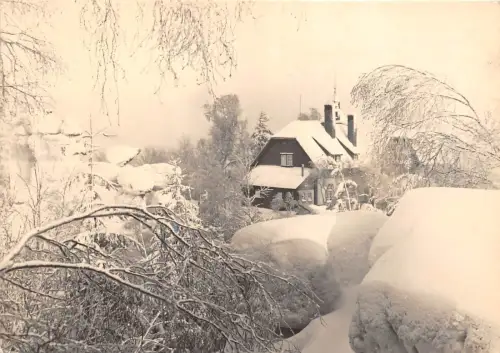 BG29041 kurort oybin topferbaude germany CPSM 14,5x10cm