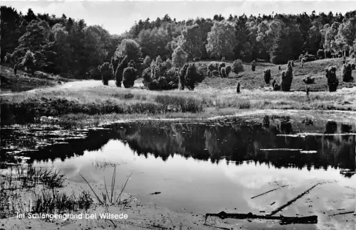 BG23079 im langengrund bei wilsede germany CPSM 14x9cm