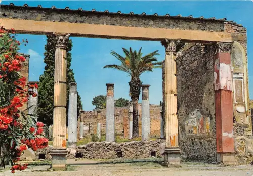 BT0625 Pompei casa del fauno Italien
