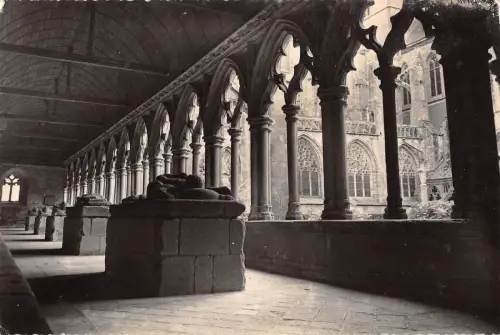 BR49301 Details du cloitre treguier Frankreich