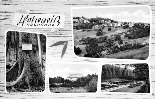 BG23441 kurort hohegeiss im hochharz heilklimatischer germany CPSM 14x9cm
