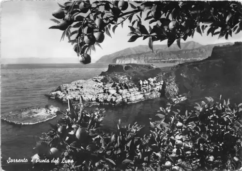 BG3253 sorrento punta del lupo CPSM 15x9,5cm italy