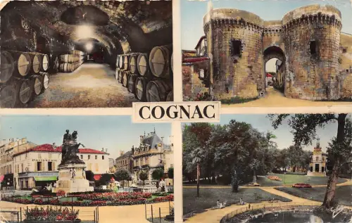 BR29339 Cognac Multi Views Frankreich