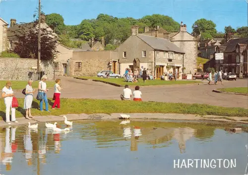 BR92595 hartington the duck pond uk