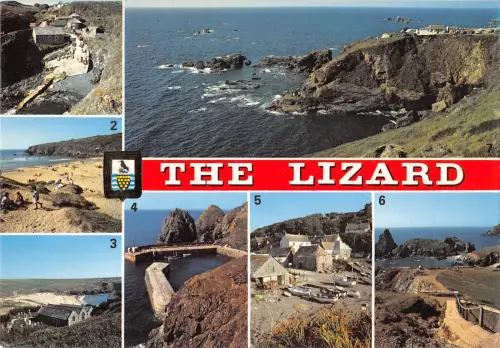 uk34555 the lizard uk