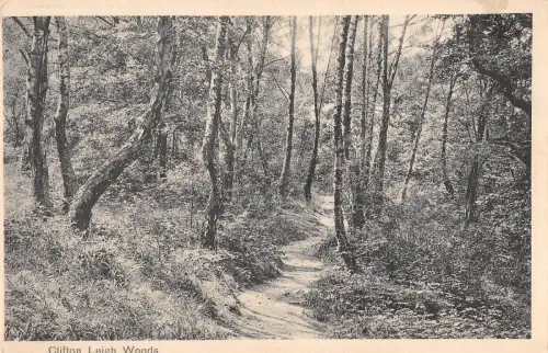 uk27168 clifton leigh woods echtfoto uk