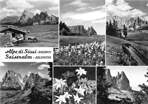 BG17332 alpe di siusi seiseralm dolomiten italy CPSM 14,5x9cm