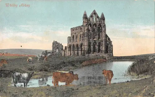 uk25619 whitby abbey uk