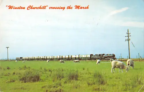 uk1880 winston churchill crossing the marsh herefordshire sheep real photo uk